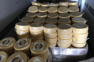 Самарские таможенники задержали фуру с 20 тоннами пармезана