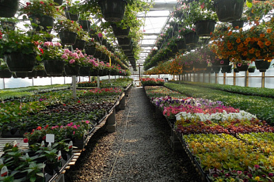 270 жителей Алексеевского района стали самозанятыми в прошлом году 