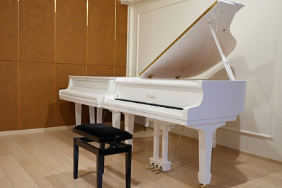 В Самарской области открыли еще одну "Детскую филармонию"