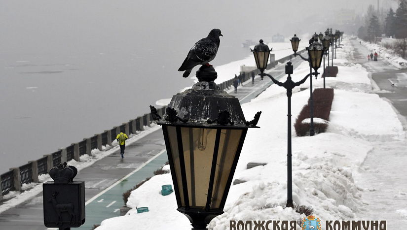 28 марта с истории и архиве "ВК"