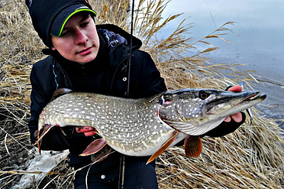 Рыбак из Сызрани рассказал, как боролся с крупной щукой и почему в итоге отпустил ее на волю