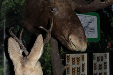 В Тольятти проводят экскурсии в темноте при свете фонарика