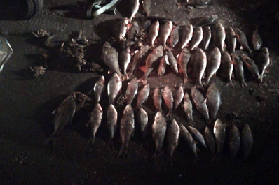 В Самарской области на Волге поймали первого браконьера с сетями