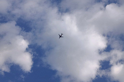 Самолет из Самары не смог приземлиться из-за лисы в "Пулково"