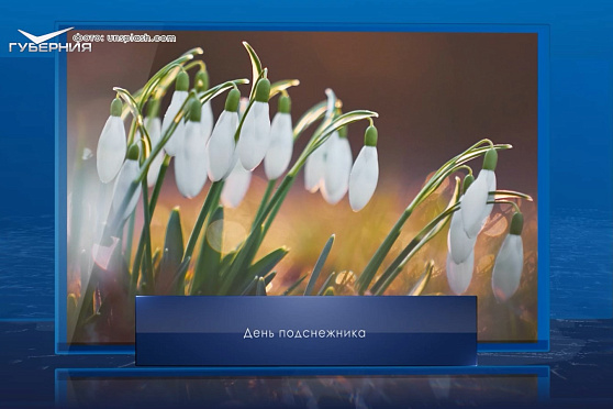 День подснежника. Календарь Губернии от 19 апреля