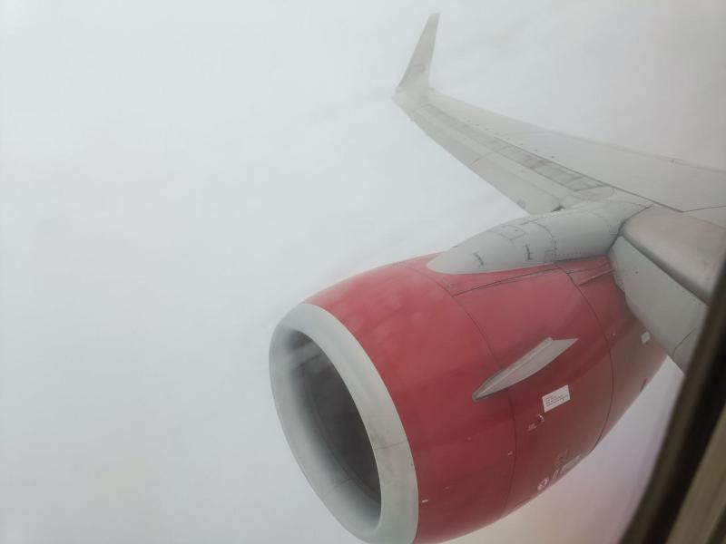 В небе над Самарской областью в двигатель пассажирского самолета попала птица