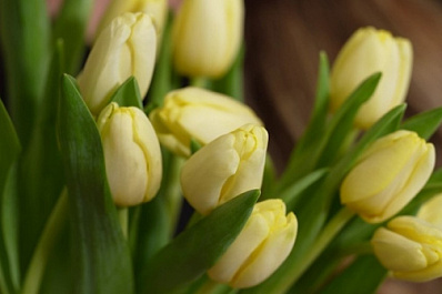 Жительницы Самары поделились мнением о том, чего хотят женщины