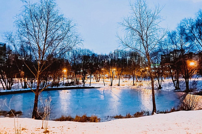 В Минприроде призвали не переживать за лебедей на водоемах