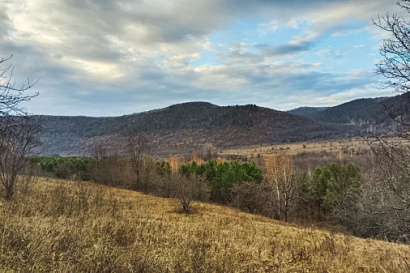 Название статьи