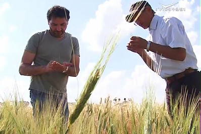 Самарские ученые поделятся опытом селекции новых сортов сельскохозяйственных культур с коллегами из Китая и Италии
