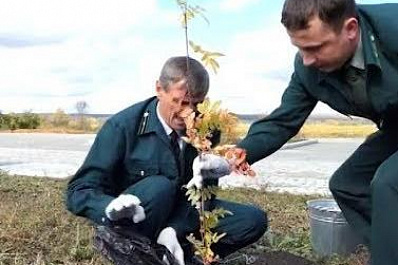 В Самарской области отметили День работников леса