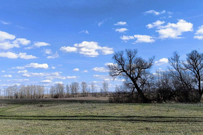 Название статьи