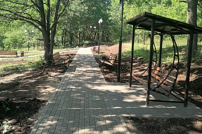 В Подбельске посадили каштановую аллею 