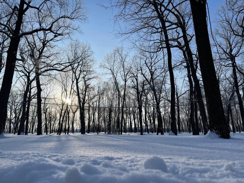 Жителей Самарской области 28 февраля ждет ясный и солнечный день