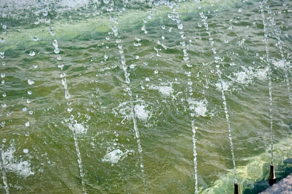 Название статьи