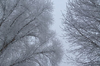 Ровно месяц остался до завершения опроса жителей Самары о будущем парка 60-летия Советской власти