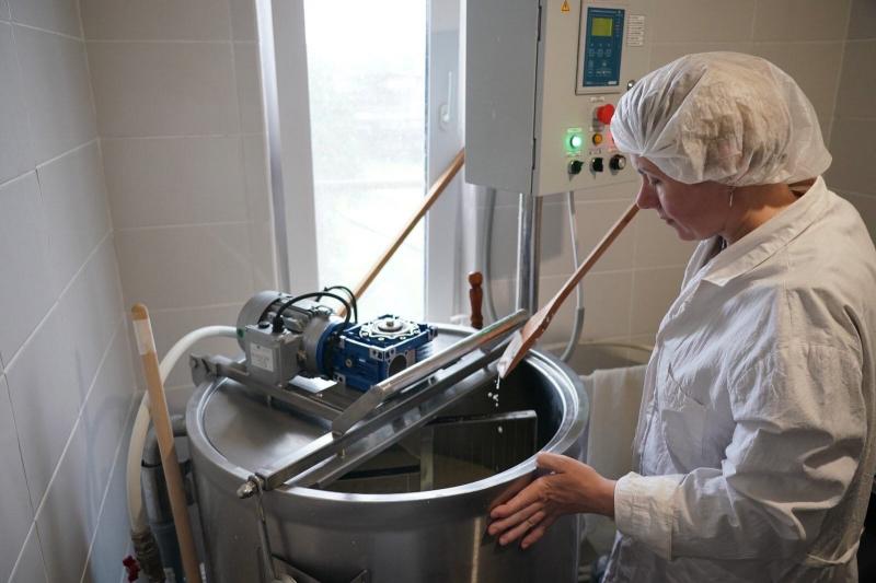 Благодаря социальному контракту жительница Самары открыла собственное производство сыров