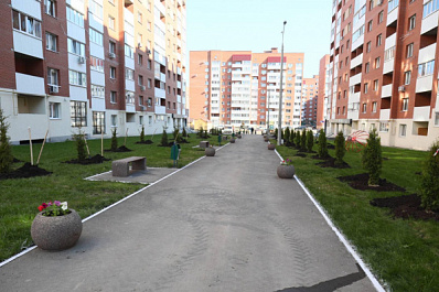 В микрорайоне "Новая Самара" высадили ели вместо спиленных деревьев