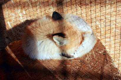 Название статьи