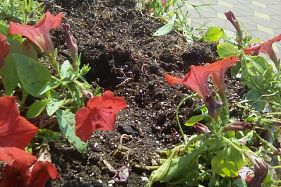 В Самаре вандалы испортили внешний вид площади Героев 21-й Армии