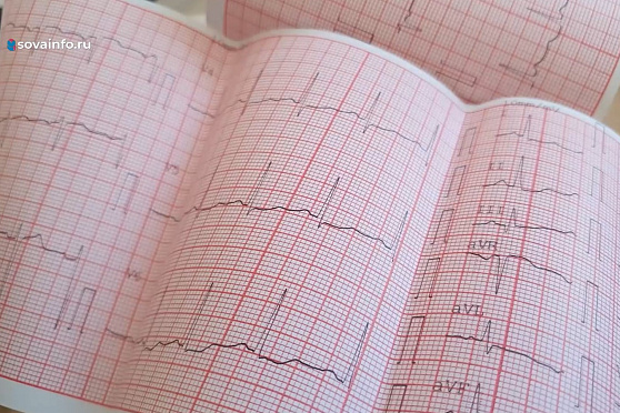 Медалисты и доступная медицина. Хорошие новости Волжского района