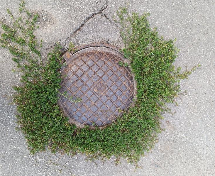 Самарские коммунальщики достали из канализации тряпки и ягоды