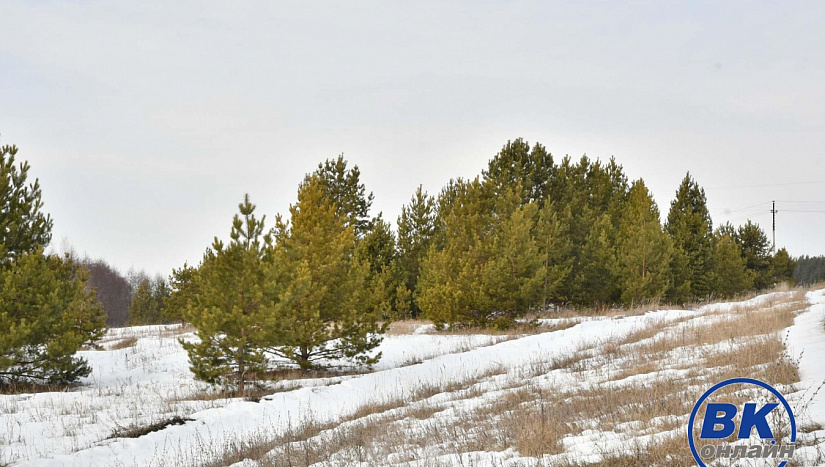 5 марта в истории и архиве "ВК"