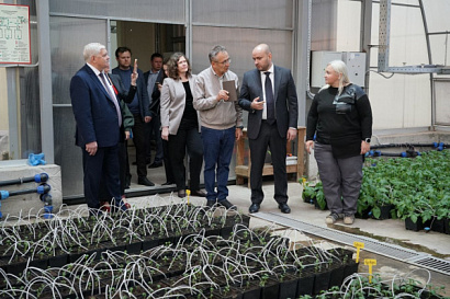 Название статьи