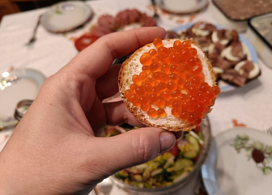 Самарцам рассказали о правилах хранения новогодних блюд