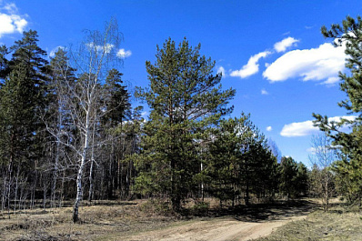 Народные приметы на 1 апреля 2025 года: что нельзя делать в этот день