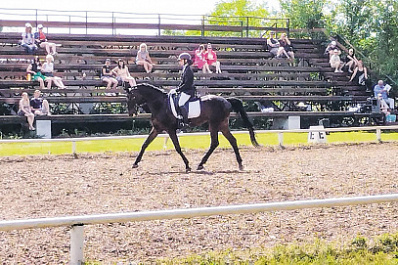 В Тольятти состоялся чемпионат региона по конному спорту