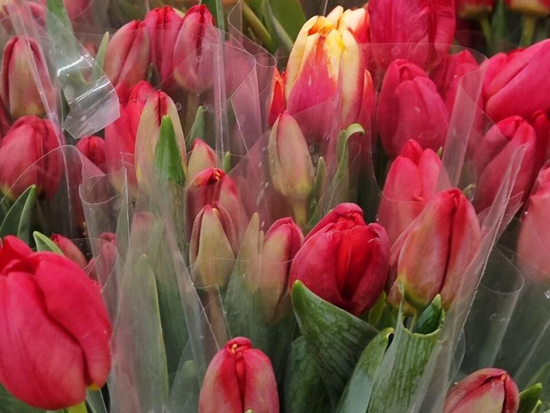 Самарцы на 8 Марта в среднем планируют потратить 5200 рублей