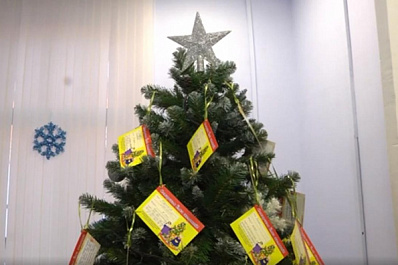 Министры молодежного правительства Самарской области приняли участие в акции "Елка желаний"