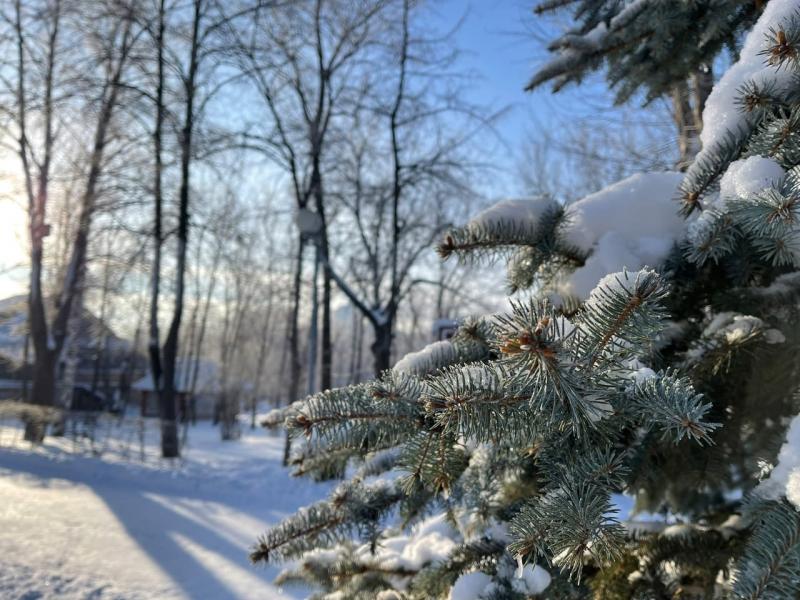Местами до -24 градусов: рабочая неделя в Самарской области начнется с ночных заморозков