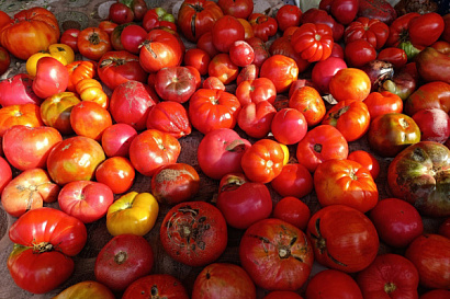 Название статьи