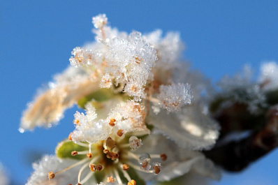 В 9 населенных пунктах Самарской области зафиксированы экстремально низкие температуры