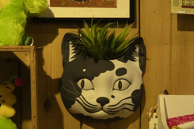 Самарцы предлагают оставить детей-квадроберов в покое