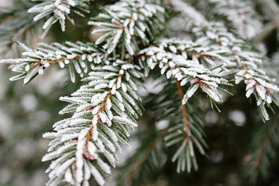 В Самарской области вновь ожидают похолодание