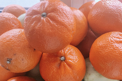 Дефицит витамина С зимой можно восполнить шиповником и цитрусовыми