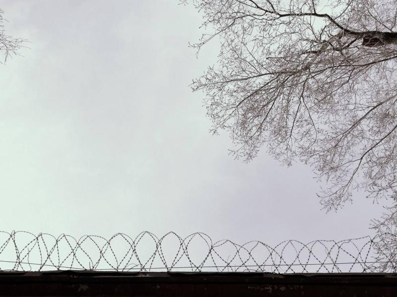 Зашел в случайную квартиру: тольяттинца отправили в колонию за грабеж