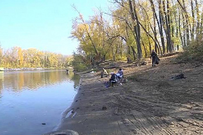 Самарские нефтяники вывезли с берегов Волги 4 тонны мусора