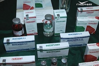 Иммуномодуляторы от "Микро-плюс": лекарства для животных на зоовыставке в Самаре