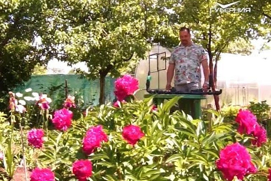 Извлекаем пользу из зелёных удобрений и сравниваем виды автоматического полива. Удачные заметки от 19.06.2018