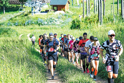 Название статьи
