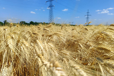 Народные приметы на 24 июля 2025 года: что нельзя делать в этот день