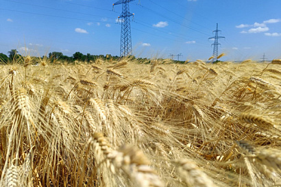 Название статьи