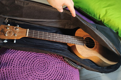 В Самаре состоится укулеле-пикник в городском парке