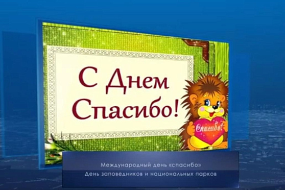 Международный день "спасибо". Календарь губернии от 11 января