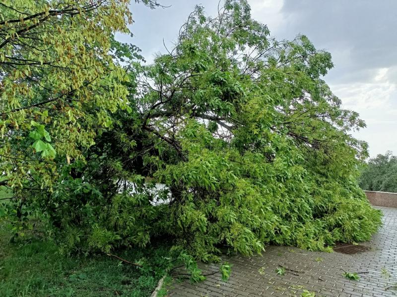 Жуткие кадры: в Самаре прошел сильнейший дождь и ураган