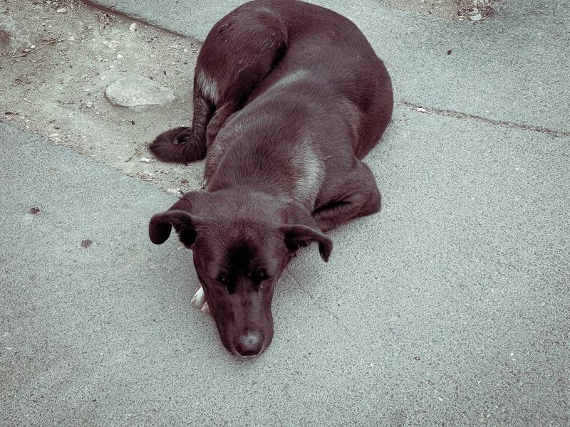 Народные приметы на 8 ноября 2025 года: что нельзя делать в этот день